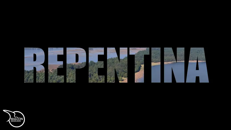¿Qué son las repentinas?