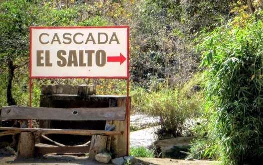 Recuento del canto "Con todas tus fuerzas"