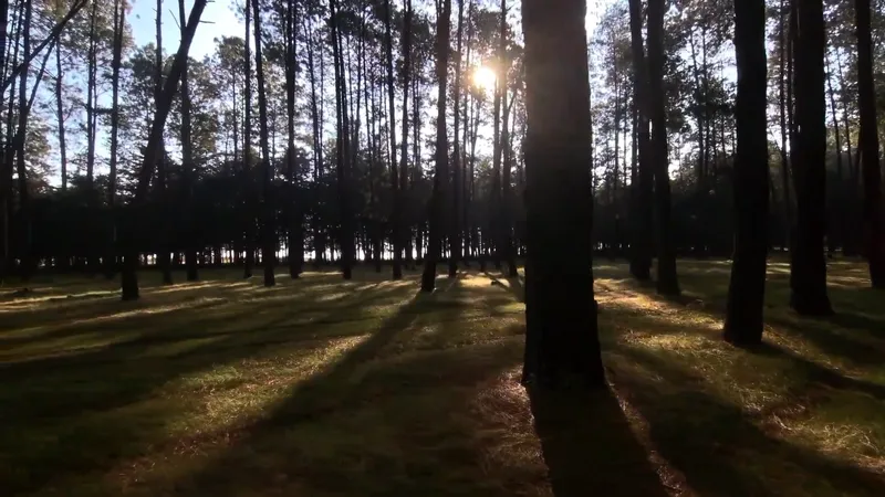 La Sabiduría es también parte de la creación de Dios.